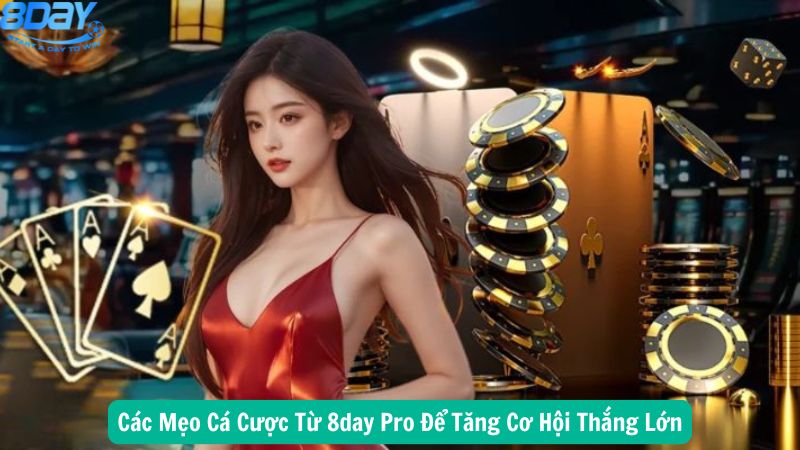 8day-pro-3