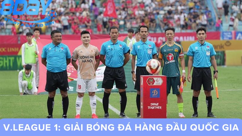 cac-giai-bong-da-viet-nam-1