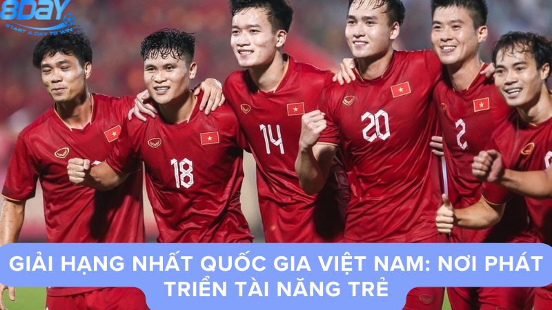 cac-giai-bong-da-viet-nam-2
