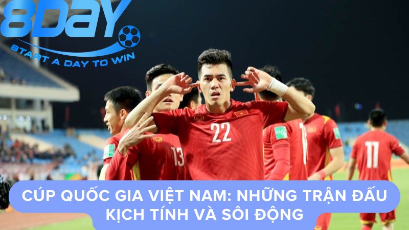 cac-giai-bong-da-viet-nam-3