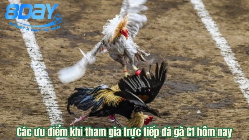 truc-tiep-da-ga-c1-hom-nay-1